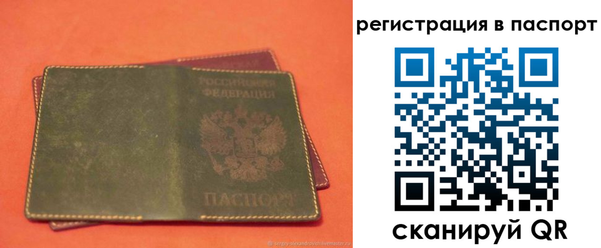 прописка для школы в Курске