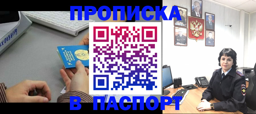 прописка в Курске